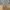 Lafudge Streetwear Casual Casual pants Pria green photo 1