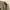 Lafudge Streetwear Casual Casual pants Pria green photo 6