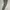 Fred Perry Casual Formal pants Pria gray photo 2