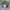 Polo Ralph Lauren Luxury Sweatshirt Pria gray photo 1