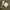 Teddy Fresh Emo Sunglass Pria yellow photo 1