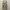 Zara Streetwear Summer dress Wanita cream photo 1