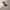 Crocs Streetwear Sandals & slide Pria black photo 6