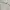 Sportswear Polo shirt Pria white photo 3
