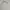 Sportswear Polo shirt Pria white photo 1