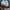 Vans Skater Sneakers Pria white navy photo 6