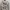 Streetwear Casual Hoody Pria white photo 2