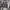 Skater Casual Hoody Pria purple white photo 1