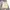 Tommy Hilfiger Luxury Minimalist Short Pria cream photo 2