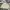 The North Face Streetwear Casual Track jacket Pria tan photo 1
