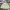 The North Face Streetwear Casual Track Jacket Pria Tan