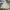 The North Face Streetwear Casual Track jacket Pria tan photo 6