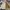 The North Face Streetwear Casual Track jacket Pria tan photo 3