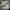 Converse Casual Sneakers Wanita white photo 1