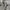 Converse Casual Sneakers Wanita white photo 5