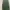 Casual Casual shirt Pria green photo 2