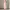 Fairy Bodycon dress Wanita multicolor photo 3