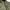 Japanese brand Gorpcore Grunge Puffer jacket Pria green photo 4