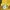 Fila Y2K Sportswear Windbreaker Pria yellow photo 4