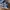 Nike Air Jordan Casual Sneakers Pria white blue photo 4