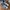 Nike Air Jordan Casual Sneakers Pria white blue photo 2