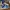 Nike Air Jordan Casual Sneakers Pria White Blue
