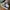 Nike Casual Sneakers Pria white black photo 5