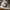 Nike Casual Sneakers Pria white black photo 2