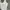 Banana Republic Minimalist Cami top Wanita tan photo 3