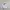 Nike Streetwear Windbreaker Pria white photo 1