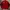 Adidas Casual Windbreaker Pria red photo 7