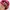 Von Dutch Vintage Y2K Hat Wanita pink photo 4