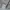 Polo Ralph Lauren Luxury Polo shirt Pria gray photo 5