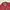 Biker Casual Bomber jacket Pria red photo 2