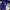 Topi Baseball Build Up Cap by MLB New Era “Dodgers LA” photo 8