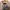 Topshop Casual Casual shirt Pria multicolor photo 2