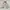 Versace Casual Harrington jacket Pria white cream photo 5