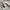 Versace Casual Harrington jacket Pria white cream photo 6