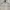 Versace Casual Harrington jacket Pria white cream photo 2
