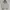 Versace Casual Harrington jacket Pria white cream photo 4