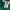 Asics Sportswear Jersey Pria green photo 5
