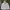 Y2K Sportswear Fleece Pria Gray