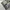 Y2K Formal pants Pria blue photo 7