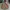 Levi's Gorpcore Casual Parka Pria tan brown photo 1