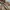Levi's Gorpcore Casual Parka Pria tan brown photo 5