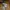 Levi's Gorpcore Casual Parka Pria tan brown photo 7