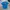 Fruit of the Loom Streetwear Casual T-shirt Pria multicolor blue photo 1