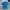Fruit Of The Loom Streetwear Casual T-shirt Pria Multicolor Blue