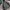 Gorpcore Casual Parka Pria green photo 3