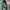 Gorpcore Casual Parka Pria green photo 5